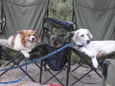 Camping- Sadie Kola, Percy and Jake  